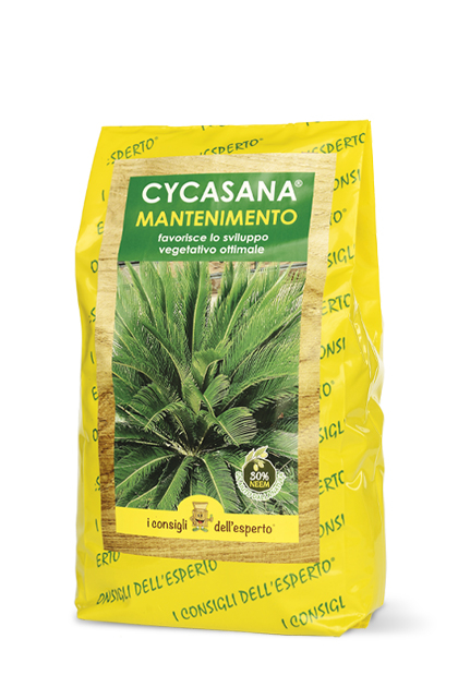 Concime idrosolubile per cycas Cycasana