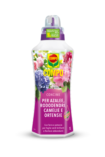 Concime liquido Compo per acidofile