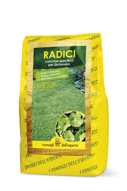 Concime organo minerale per dicondra radici