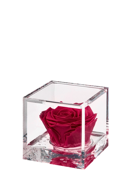 Rosa stabilizzata Rosso