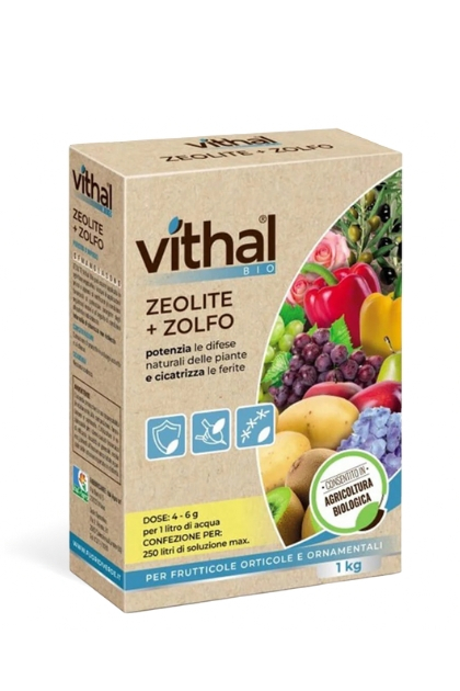 Vithal Bio Zeolite e zolfo rende le piante più vigorose