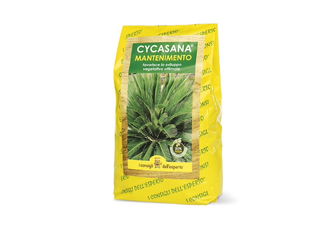 Concime idrosolubile per cycas Cycasana
