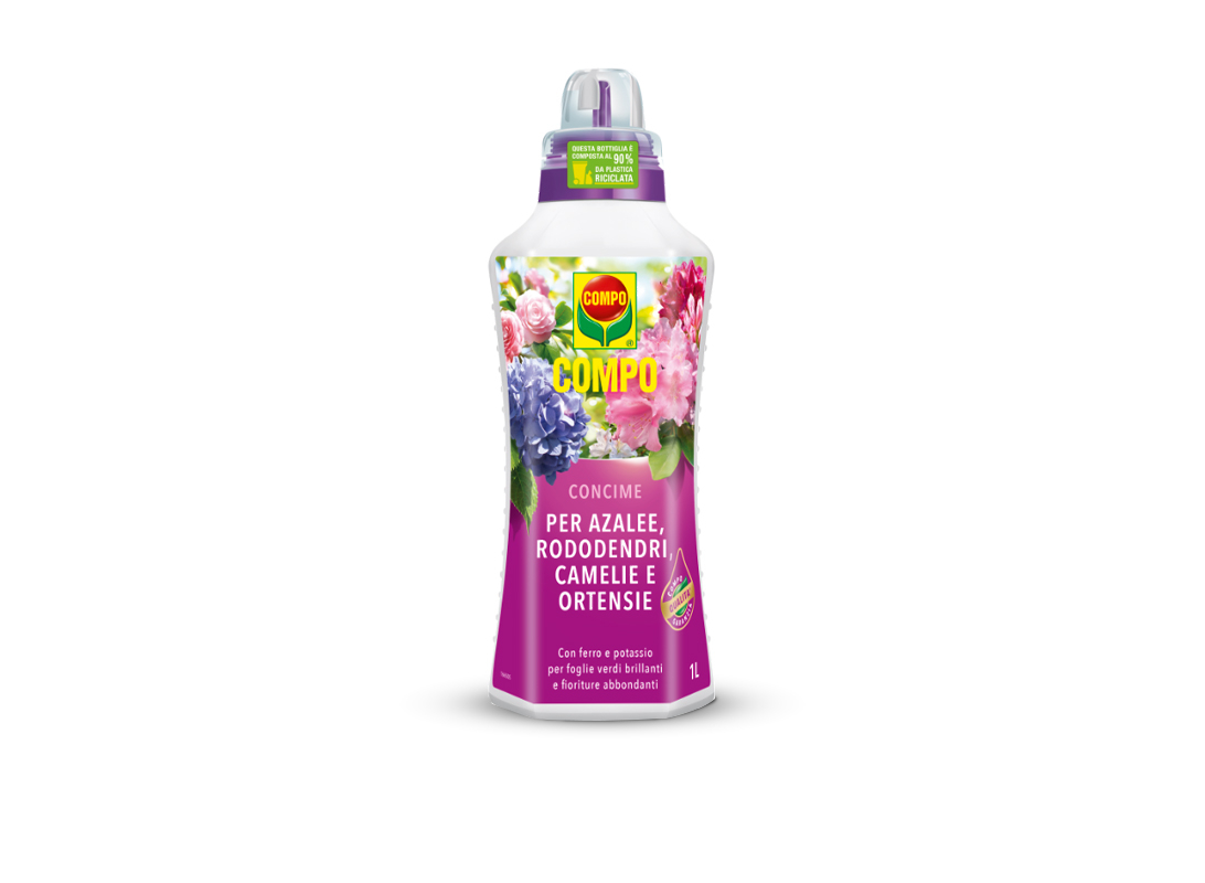 Concime liquido Compo per acidofile