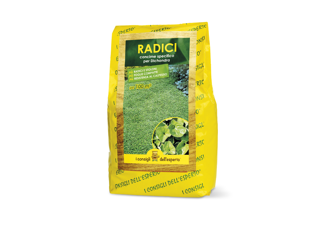 Concime organo minerale per dicondra radici
