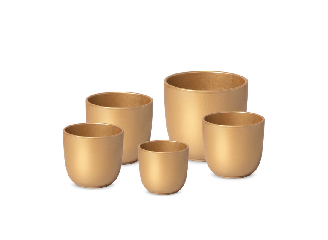 Coprivaso Tusca Oro