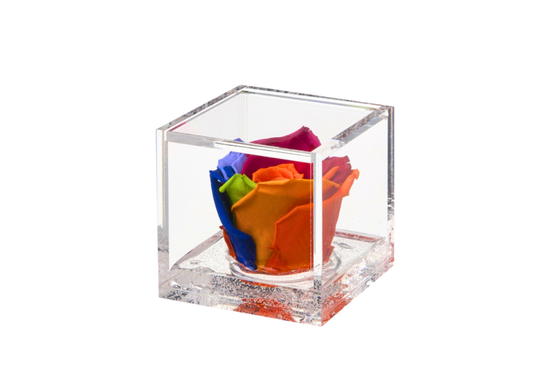 Rosa stabilizzata Rainbow