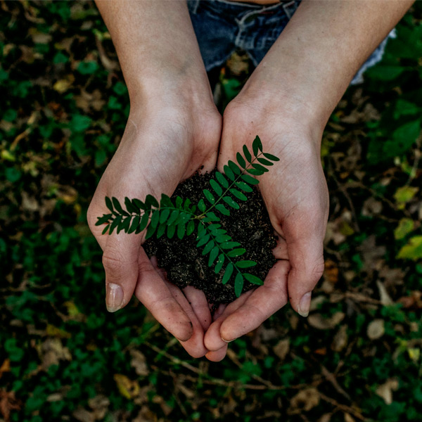  Tre consigli per un giardino sempre più eco-sostenibile
