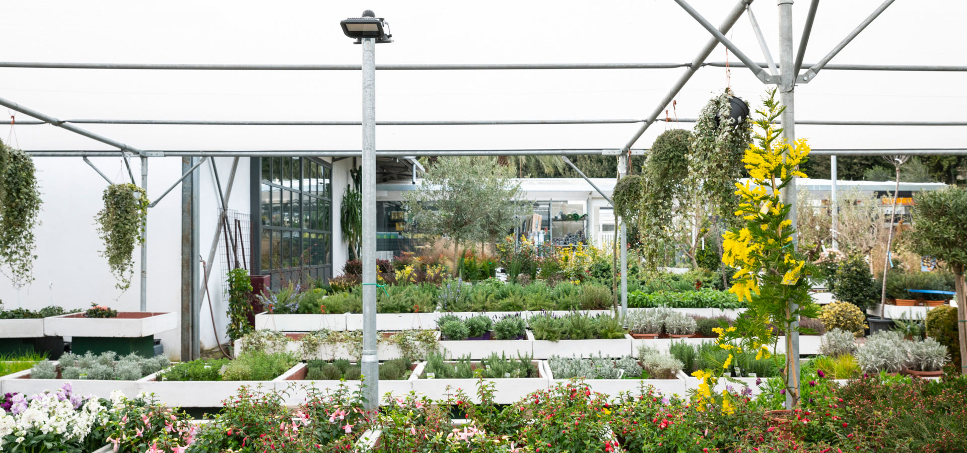 Horticultural