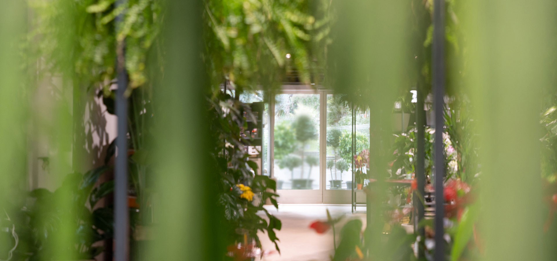 Horticultural