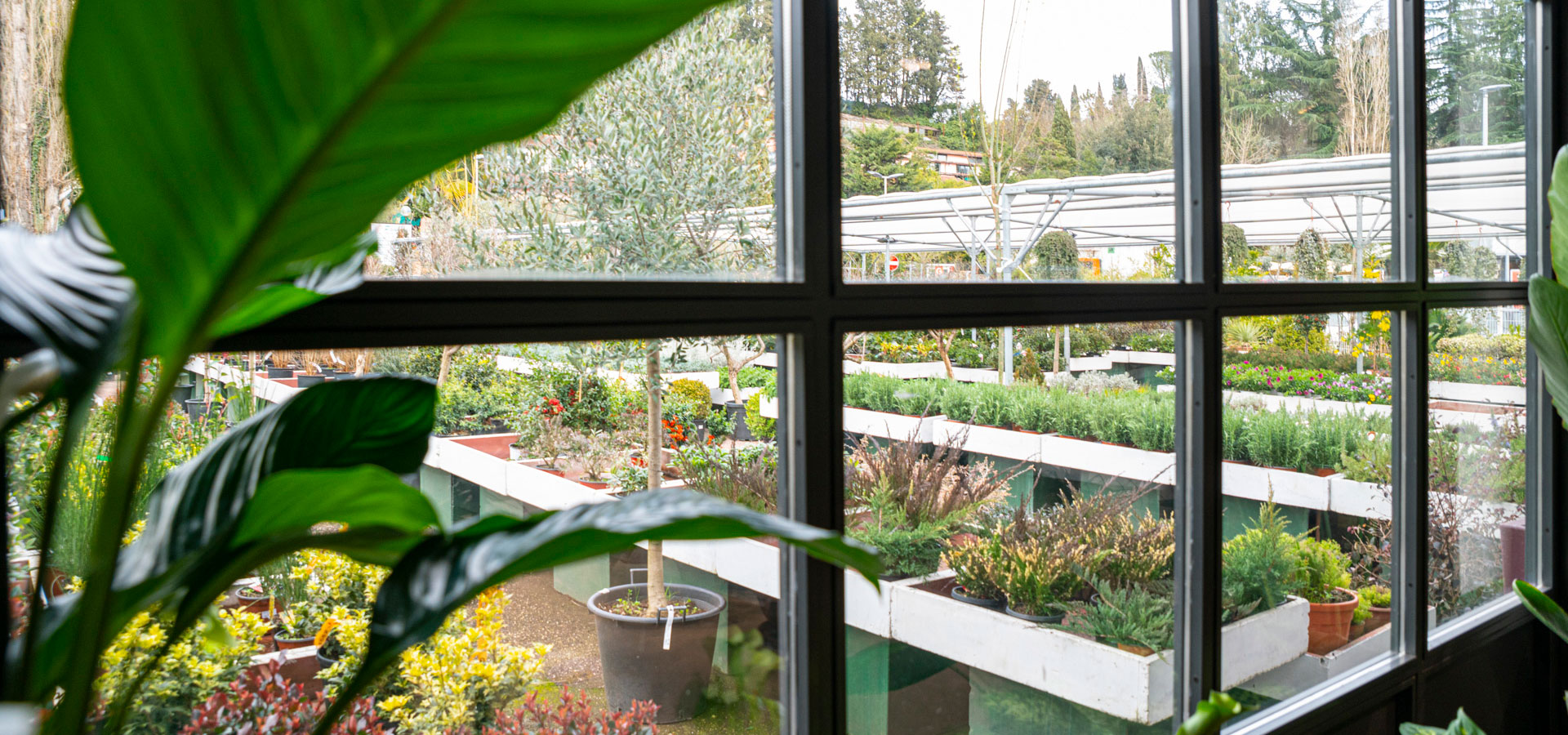 Horticultural
